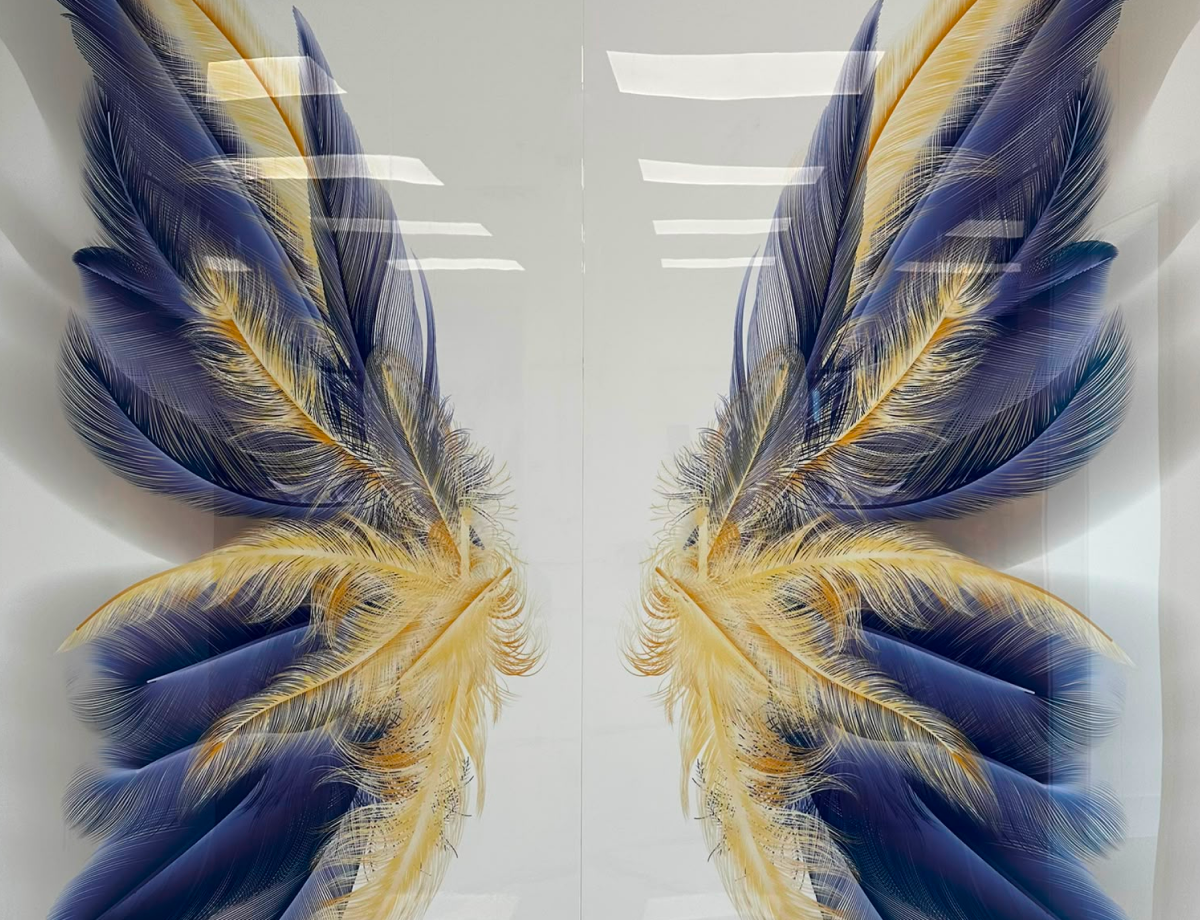 Feather Book Matched Wall Panel